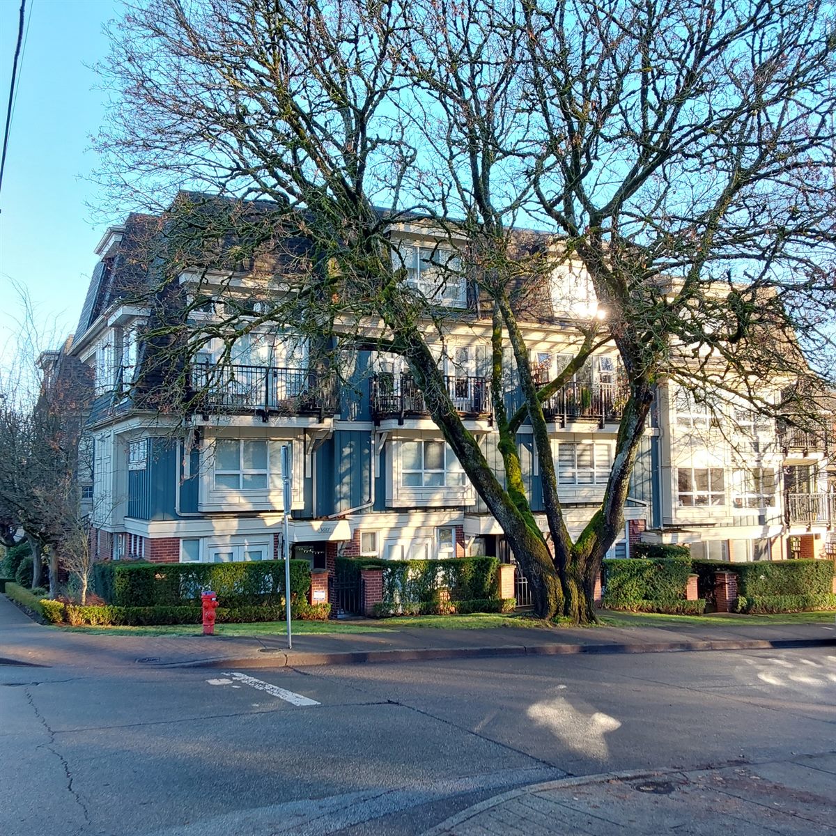 Blue character low-rise apartment with balconies beside a mature tree, Vancouver