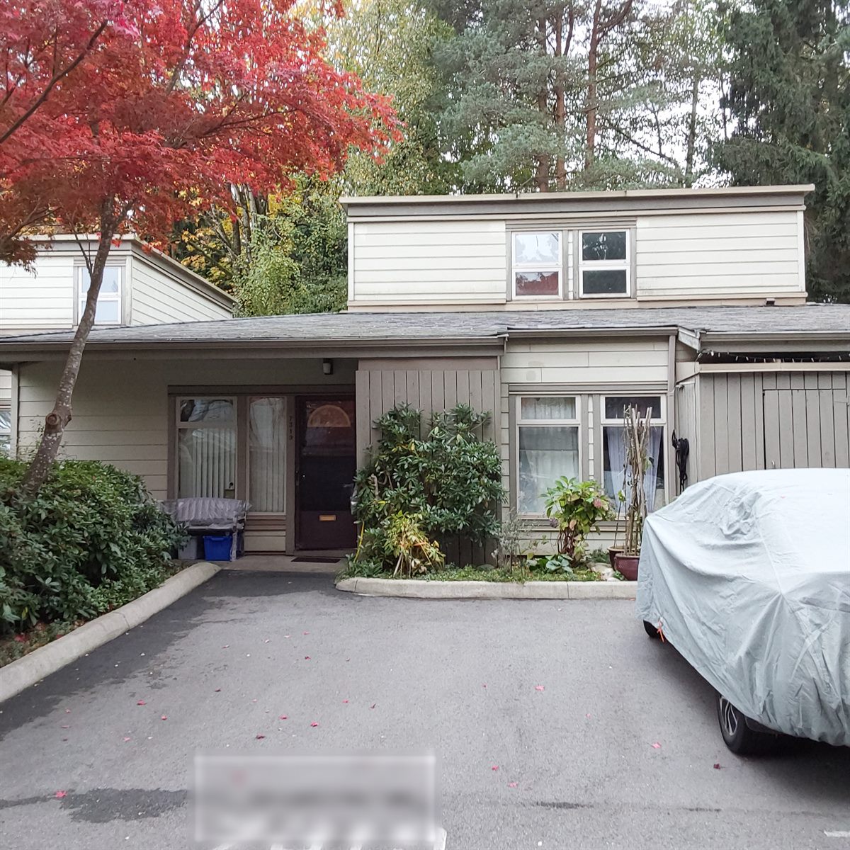 Wood-frame townhome with an autumn maple out front, Vancouver
